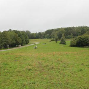 Marche gourmande 2023