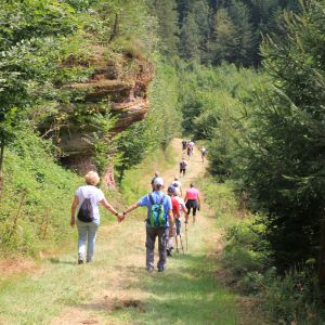Marche gourmande